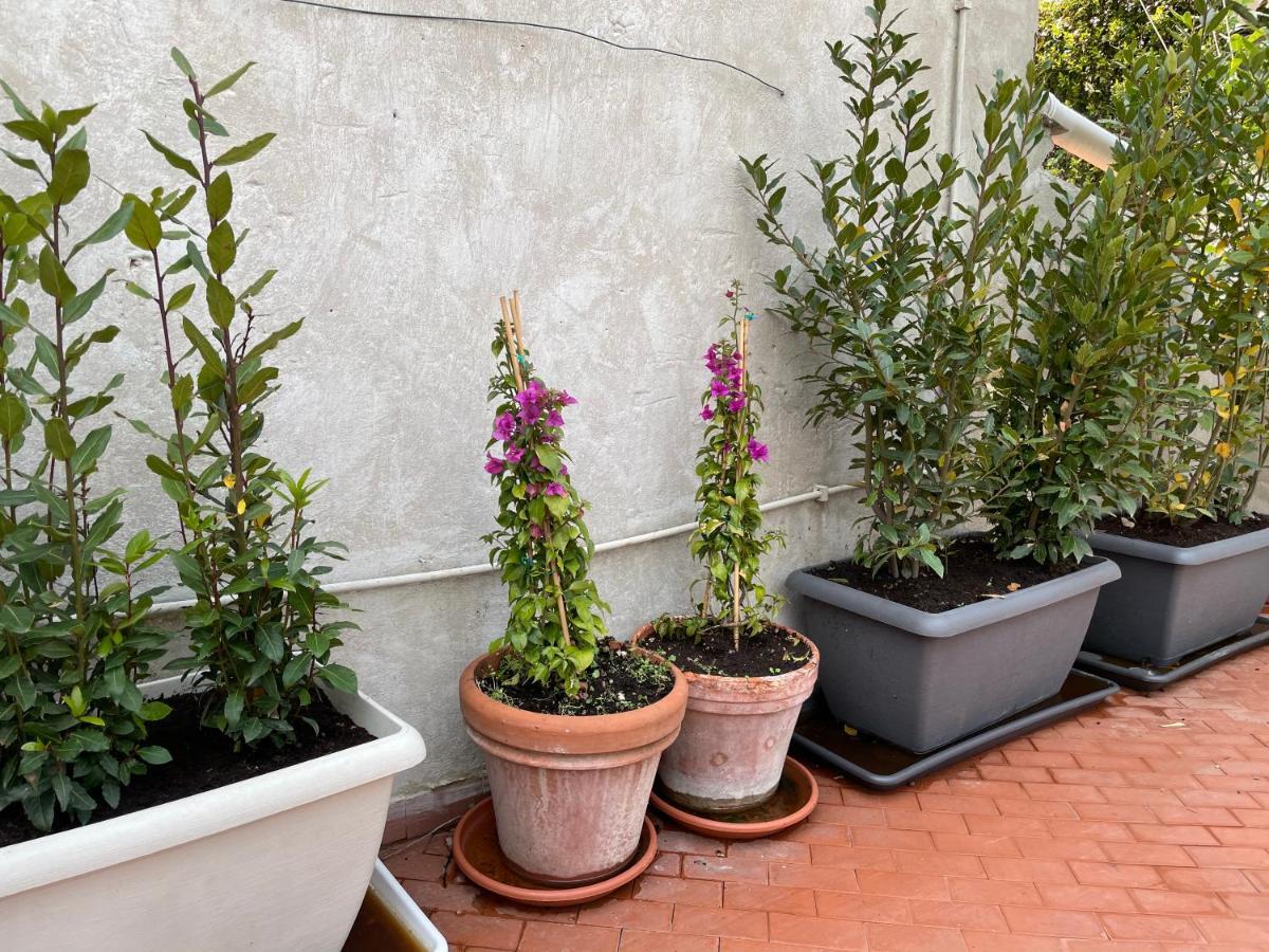 Campo De Fiori Palace Villa Roma Ngoại thất bức ảnh